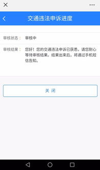 便民服务桥功能再升级 免费拍照办驾照，大数据助您轻松选驾校